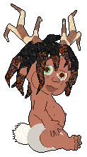Fawn Antlers