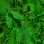 tabbzhairc3 Texture