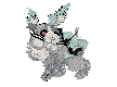 Wyvern