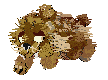 Amiko