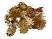 Digglet