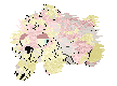 Pincushion