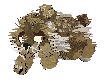 Saberclaw
