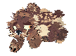 Simae