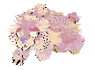 Tygra