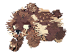 Yakut