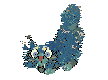 Genasi