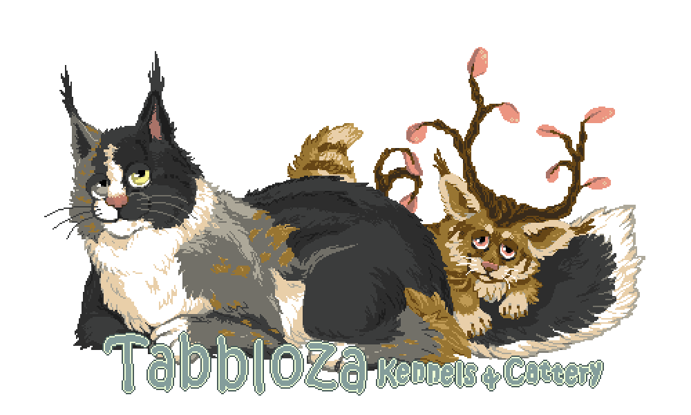 Tabbloza Kennels and Cattery